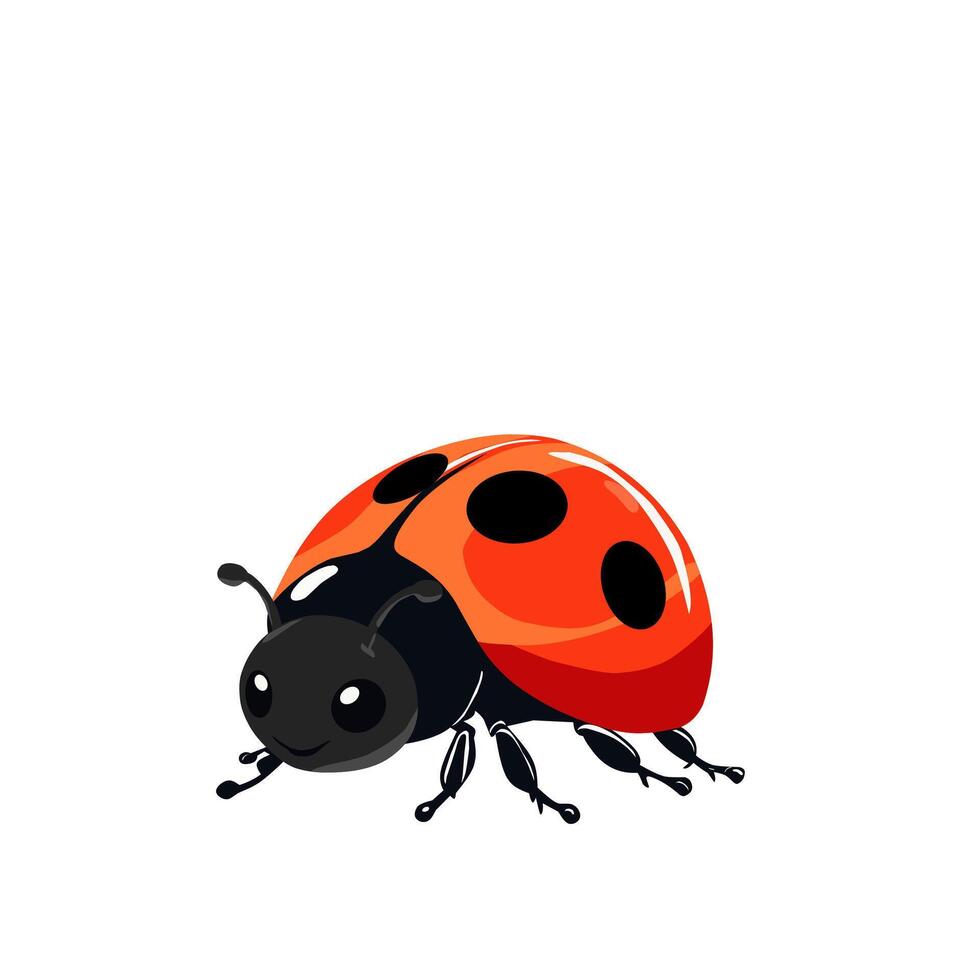 ladybug is sitting on a white background vector