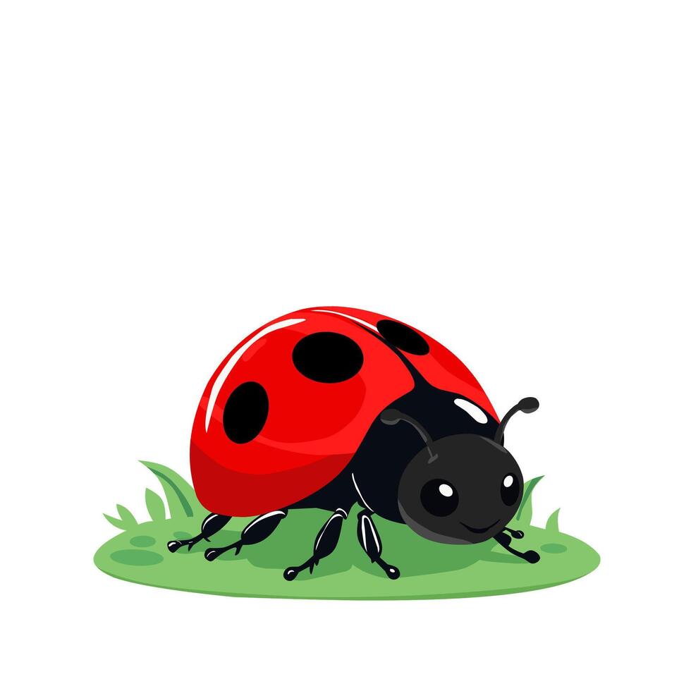 Detail close up ladybug on white background vector