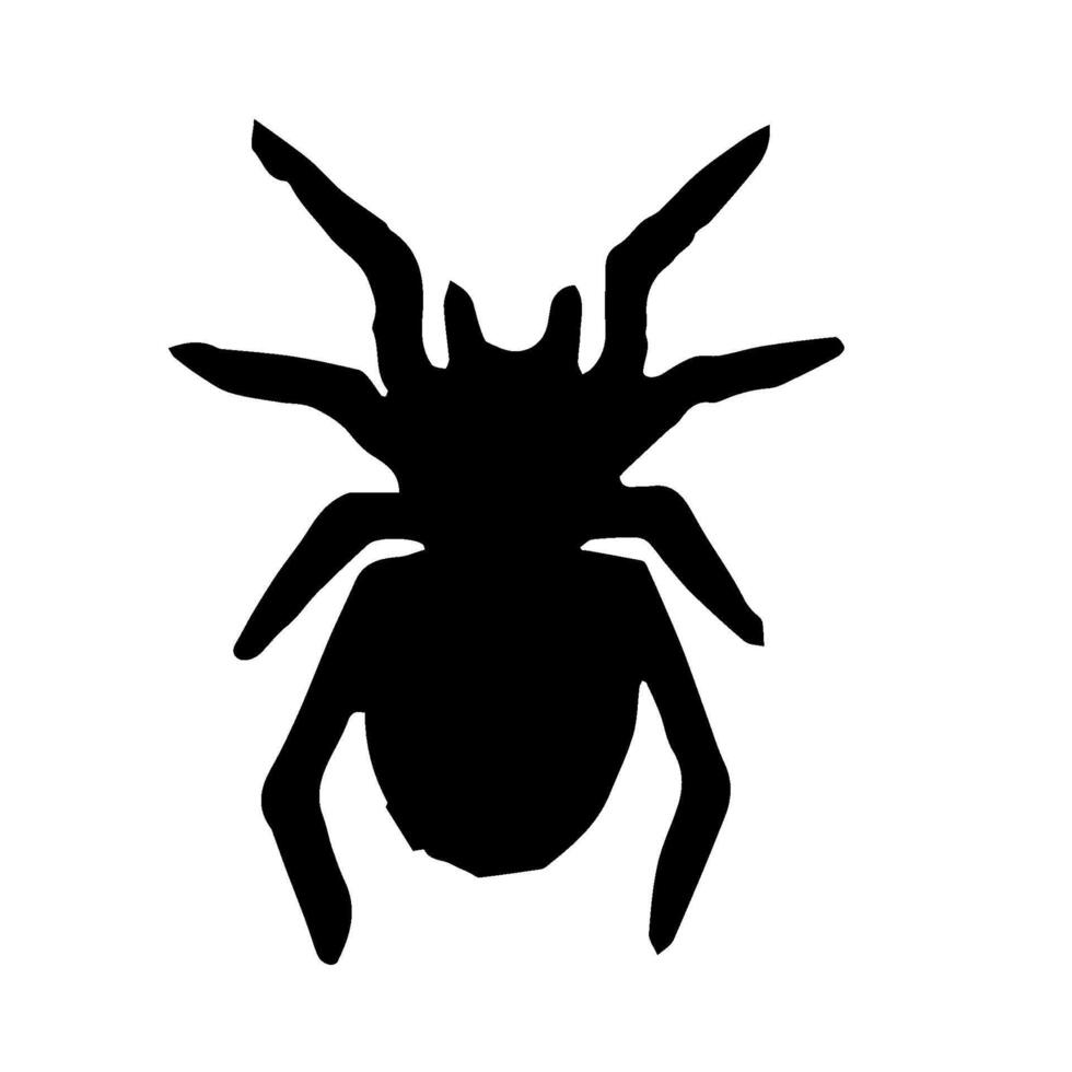 spider icon halloween animal element vector