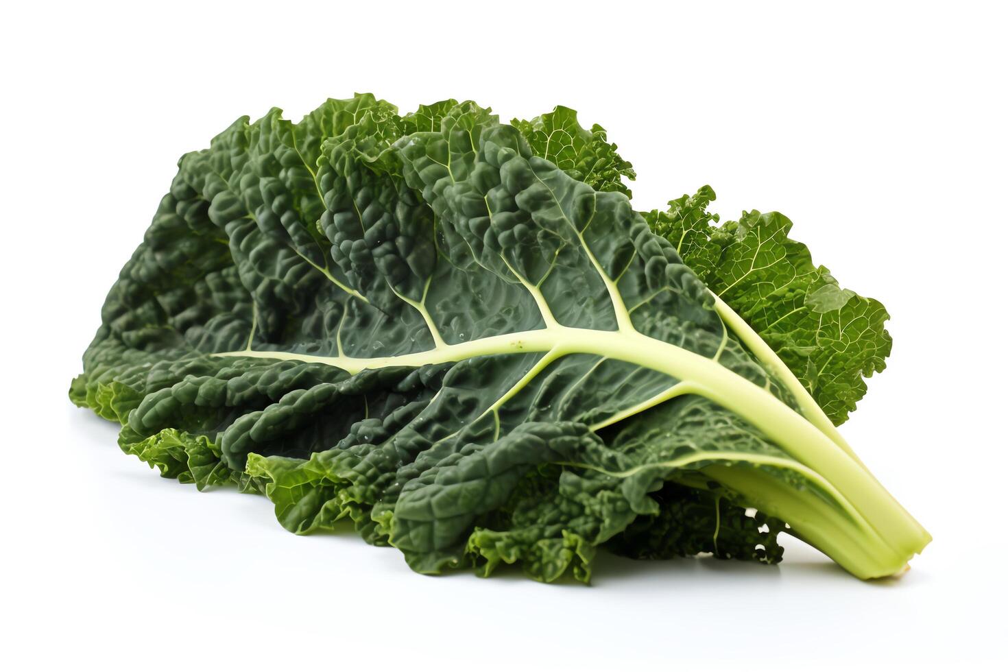 A single leaf of green kale, isolated on a white background. The leaf is slightly curled and has a serrated edge. The veins of the leaf are visible. photo