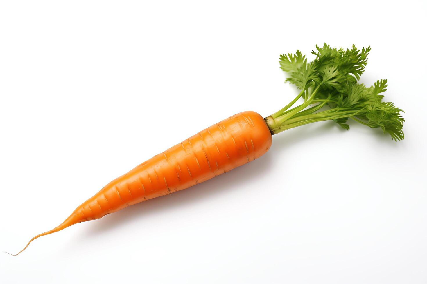 A single carrot on a white background. The carrot is orange and has green leaves. It is about 7 inches long and 1 inch in diameter. photo