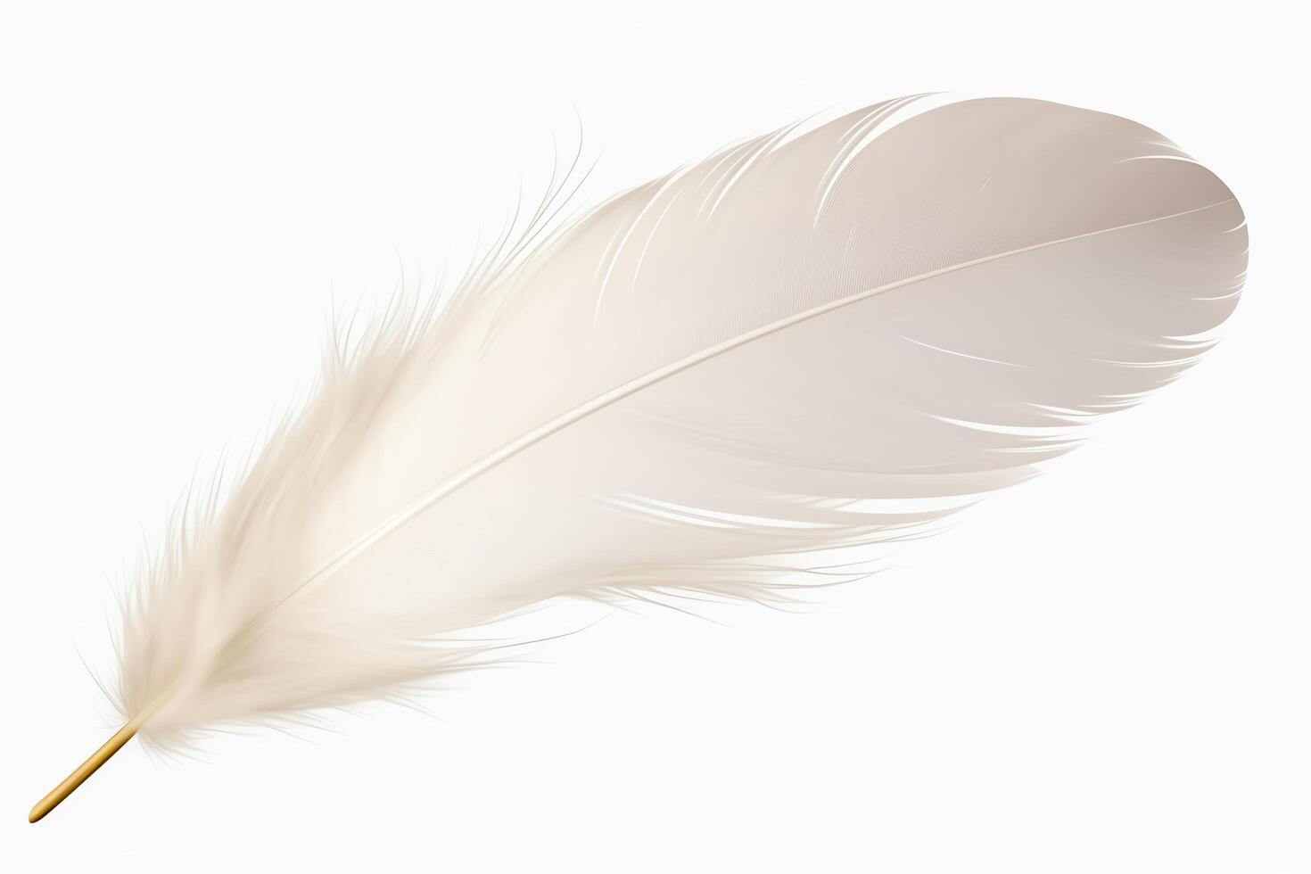 A single white feather, soft and delicate, rests on a white background photo