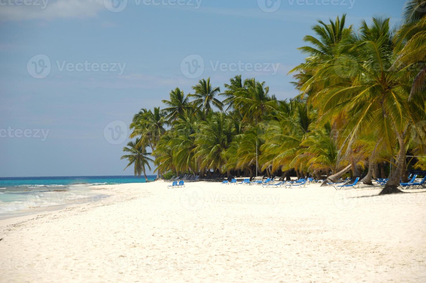 Tropical beach. The Dominican Republic, Saona Island photo