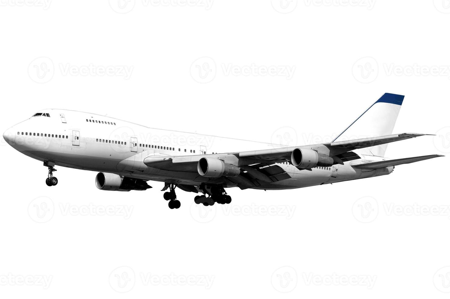 Jumbo on white background photo