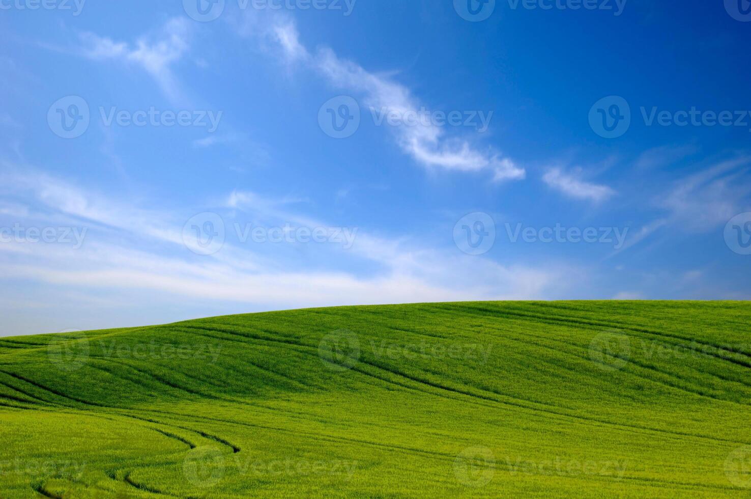 Green hill and blue sky photo