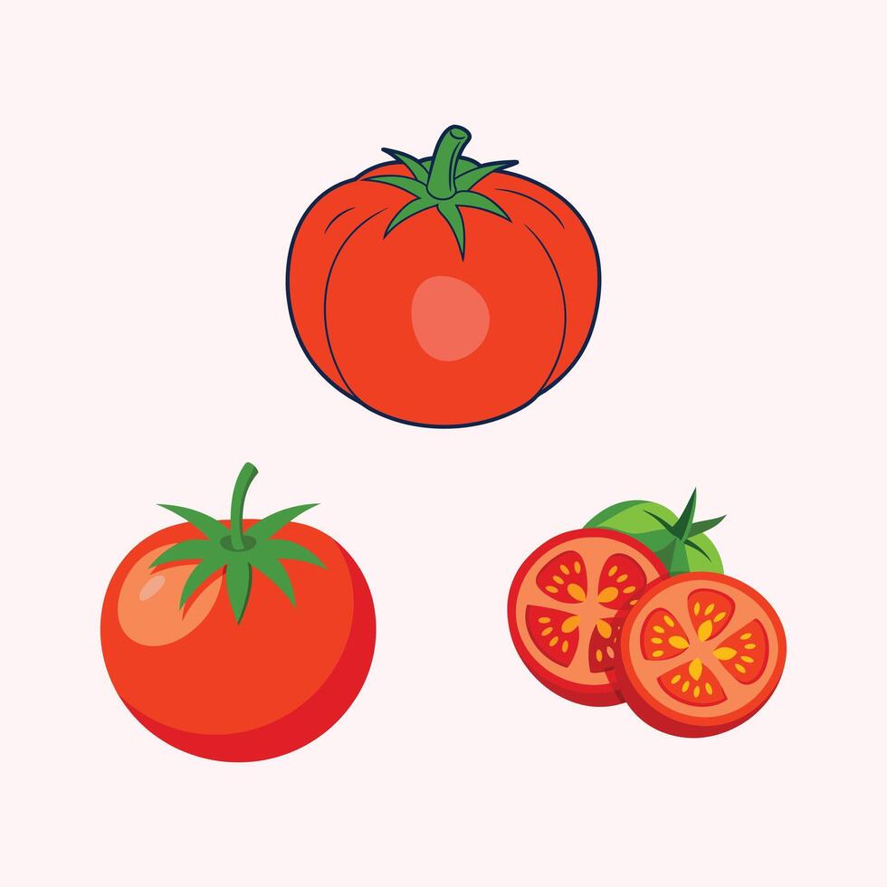 Tomato Illustration In White Background vector