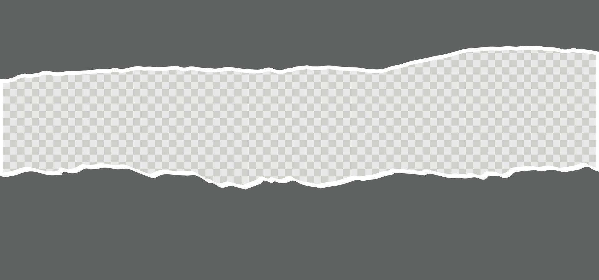 Torn paper edge vector