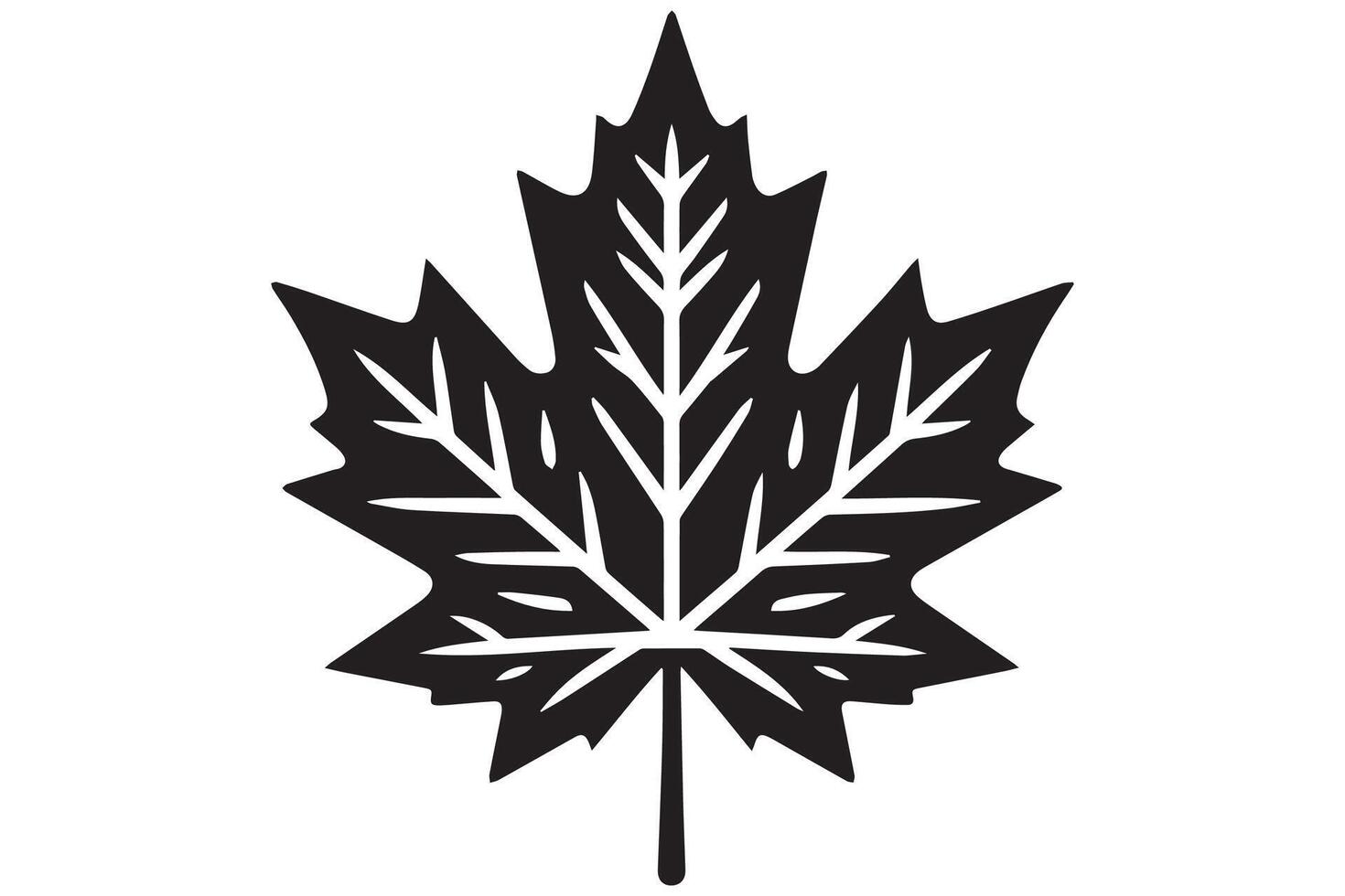 A black and white maple leaf on a white background vector