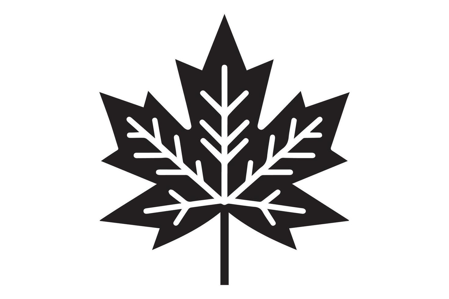 A black and white illustration of a maple leaf vector