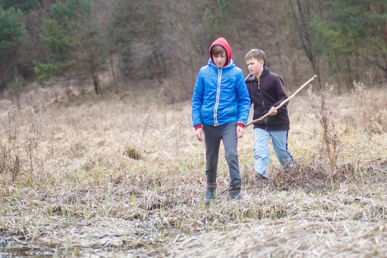 Two boys exploring a wetland area during a cloudy afternoon, searching for frogs and collecting sticks for play photo