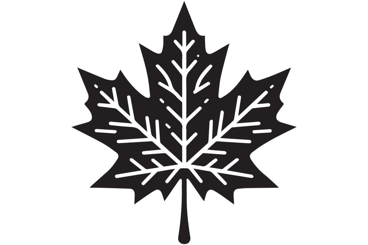 A black and white maple leaf on a white background vector
