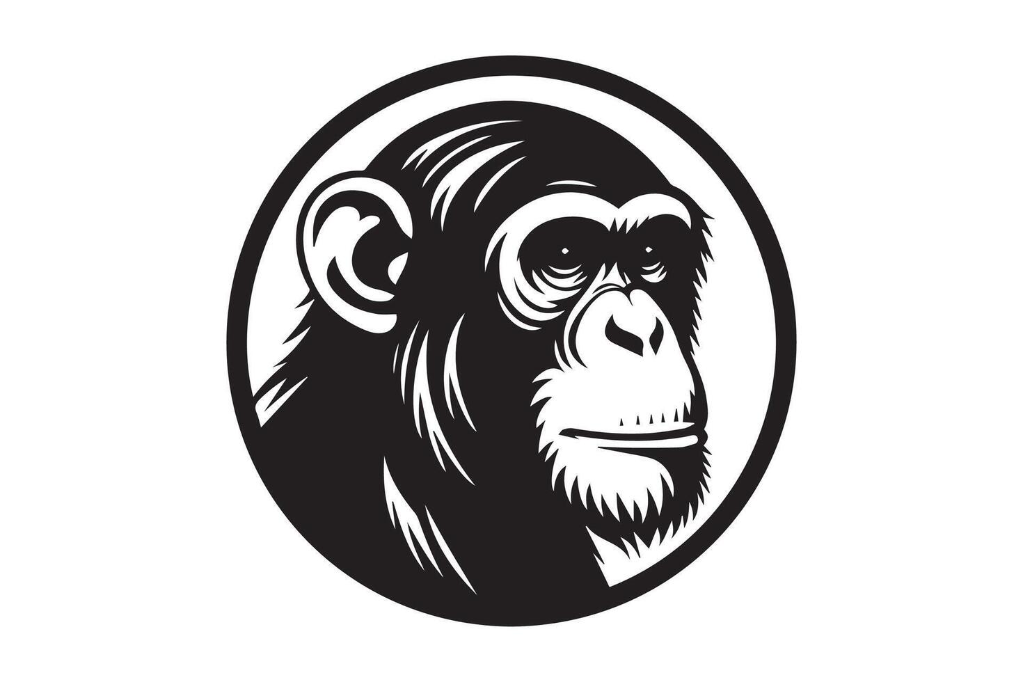 A black and white image of a chimpanzee vector