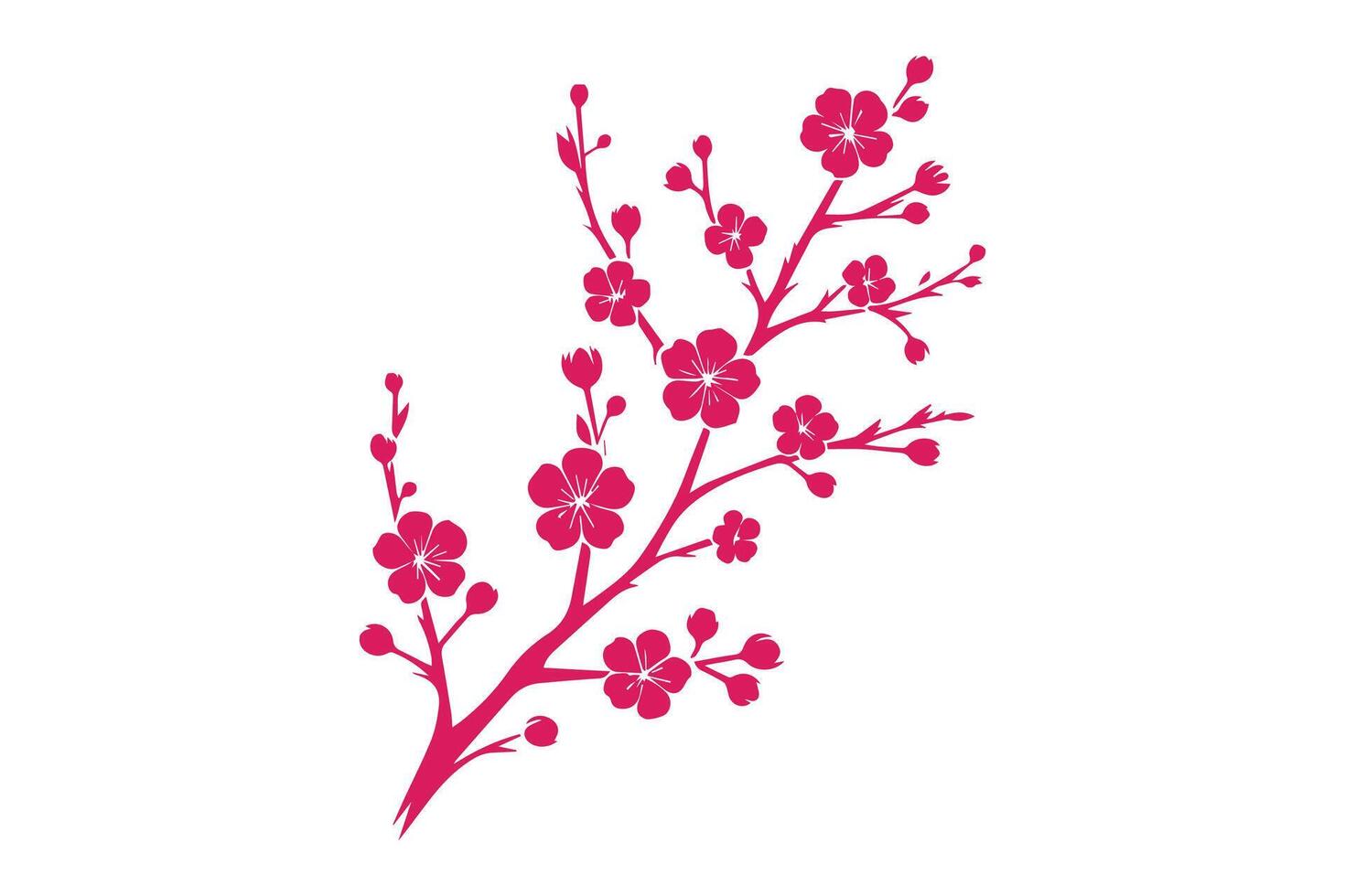 Cherry blossom branch vector