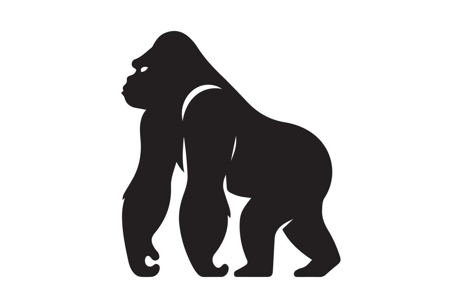 Gorilla silhouette on white background vector