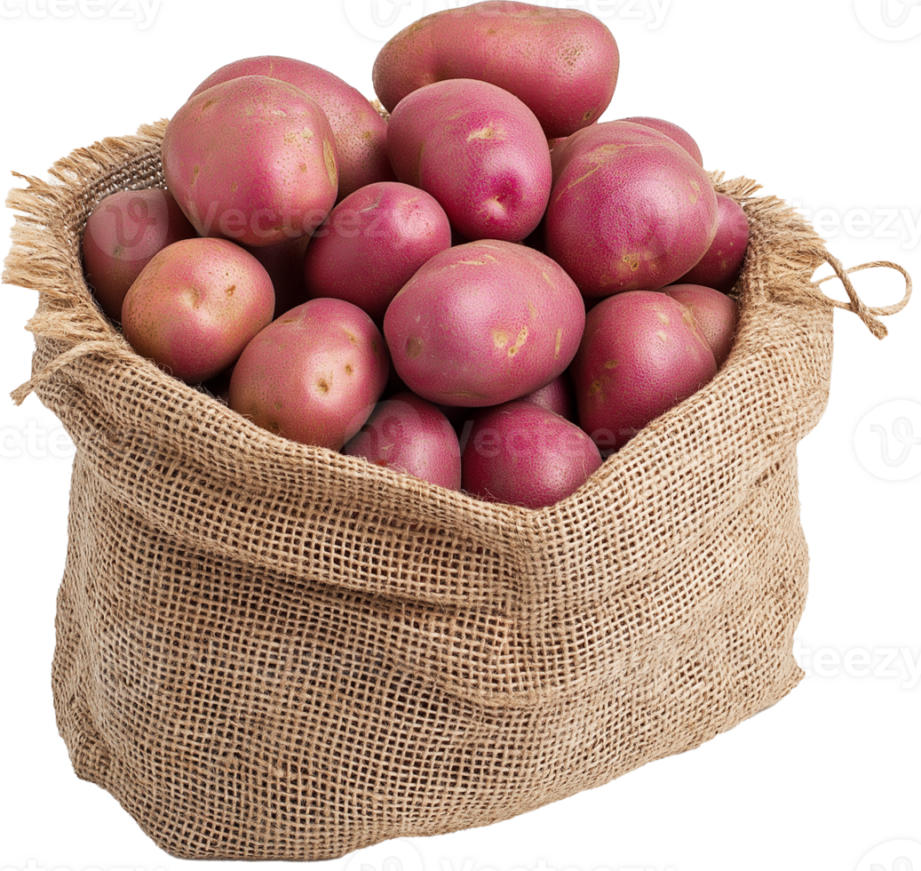 Potato Vegetable isolated, Solanum tuberosum Clipart, red potato in a burlap sack Illustration png