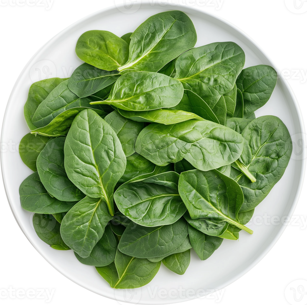 Malabar spinach isolated, Basella alba Clipart, Malabar Spinach In A Plate Illustration png