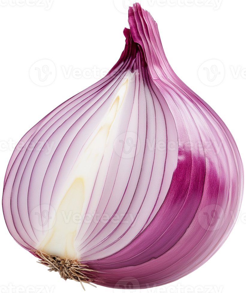 Onion Vegetable isolate, Allium cepa Clipart, fresh onion half vegetable illustration png