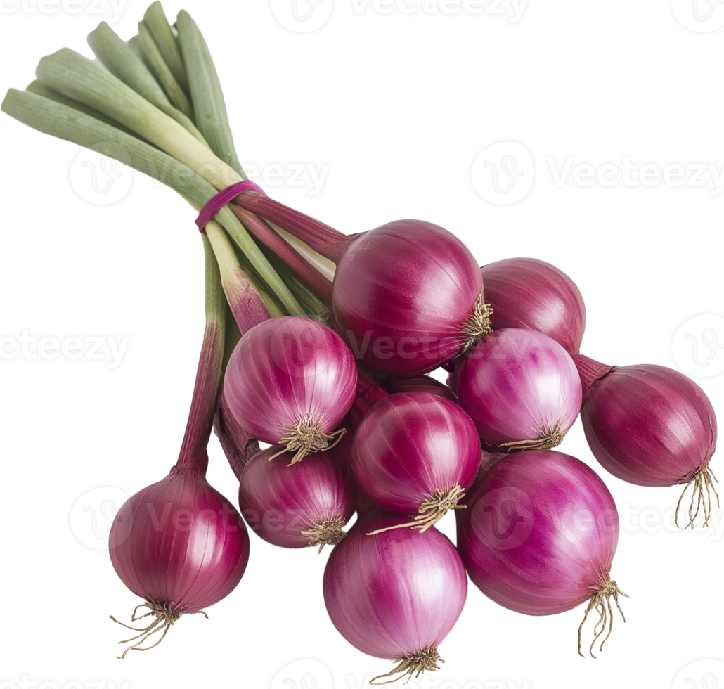 Onion Vegetable isolate, Allium cepa Clipart, few red onions illustration png