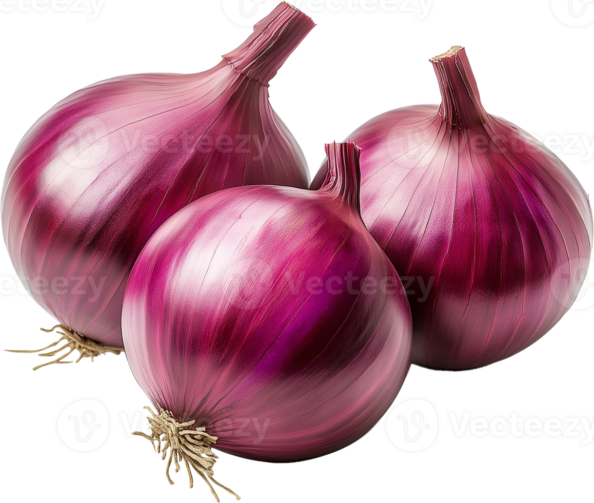 Onion Vegetable isolate, Allium cepa Clipart, Fresh ew red onion illustration png