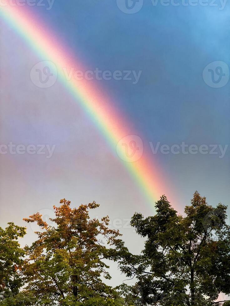A stunning view of a vibrant rainbow arching over a calm river, framed by lush green trees, captured at sunset. photo