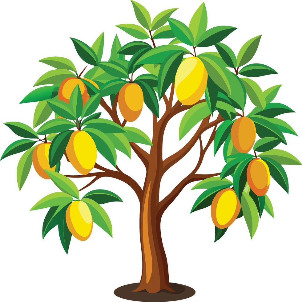 mango tree icon vector