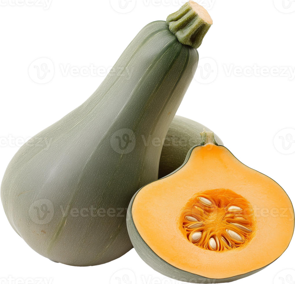 Green Butternut Squash vegetable, Green Butternut Clipart - Green Butternut Squash with half cut illustration png