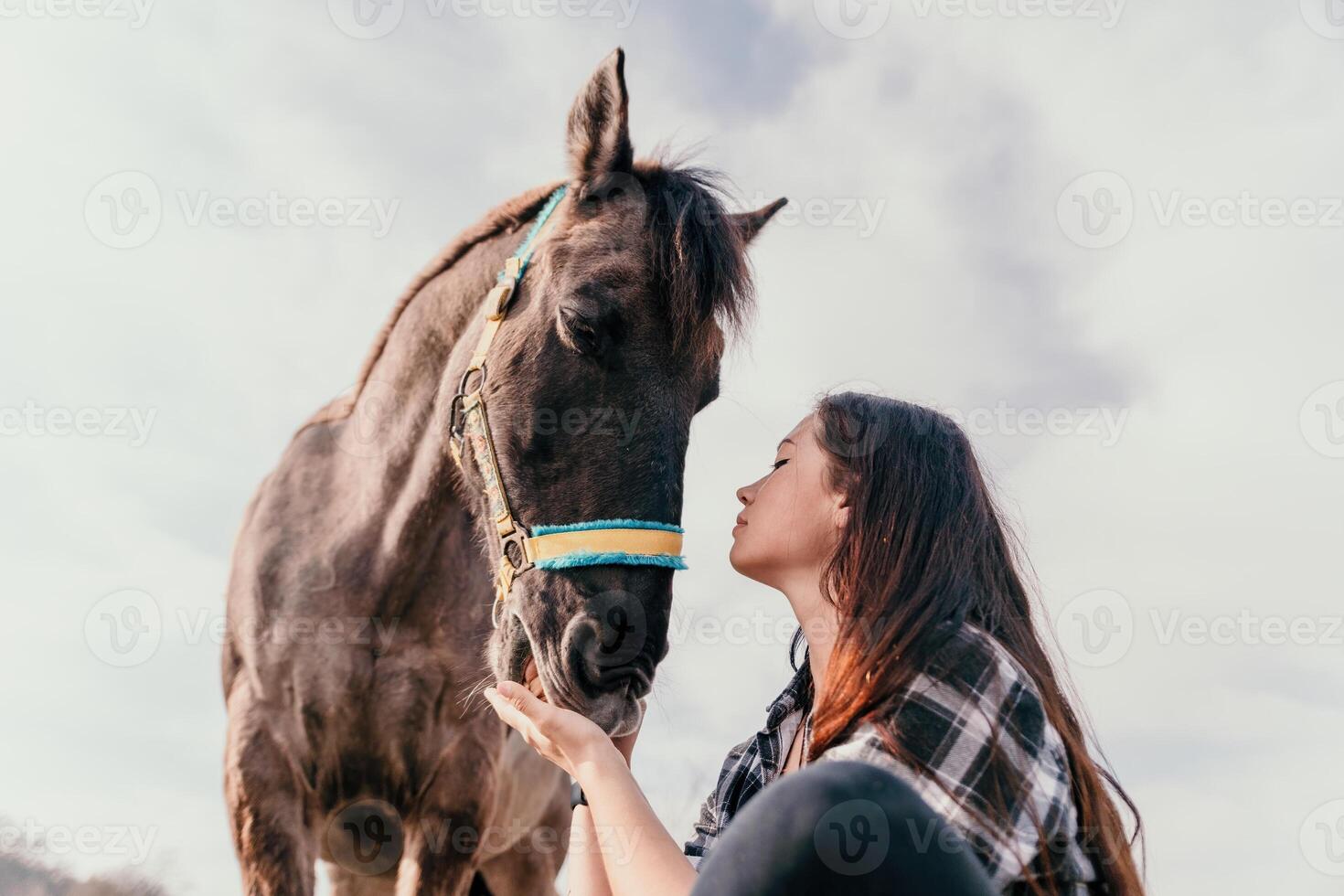 Young happy woman with her pony horse in evening sunset light. Outdoor photography with fashion model girl. Lifestyle mood. Concept of outdoor riding, sports and recreation. photo