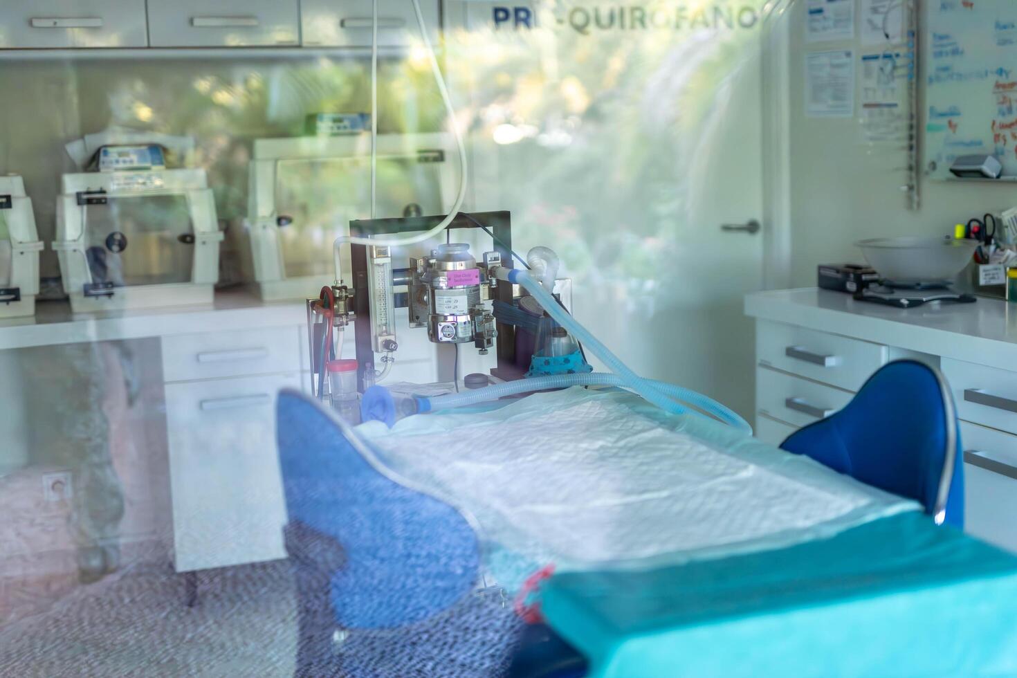 Spain,Canary Islands-December 26,2023- sveterinary laboratory for the treatment of animals in Zoo in Tenerife photo
