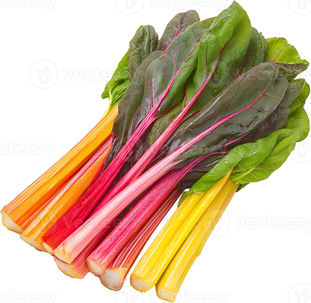 Chard vegetable isolated, Leafy Green Vegetables Clipart - Fresh swiss chard s illustration png