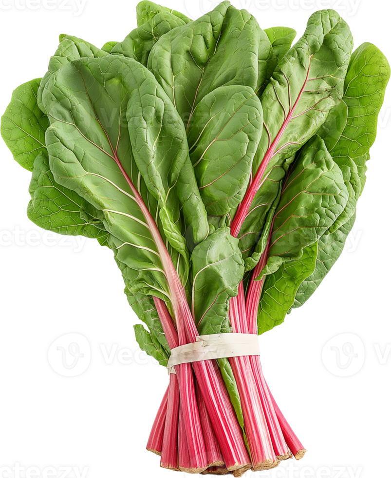 Chard vegetable isolated, Leafy Green Vegetables Clipart - Swiss Chard in a bundle illustration png