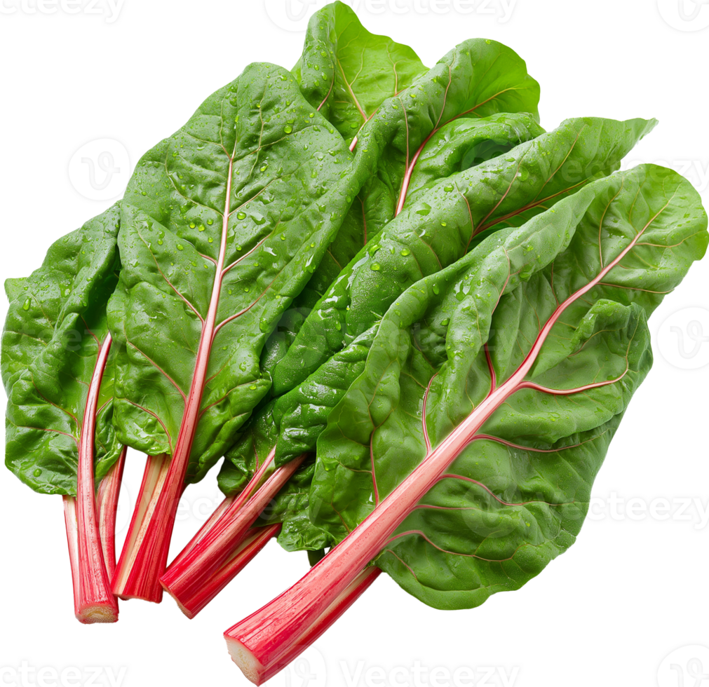 Chard vegetable isolated, Leafy Green Vegetables Clipart - Swiss Chard vegetable illustration png