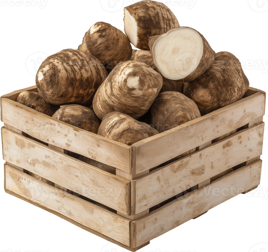 Taro vegetable isolated, Root vegetable Clipart - whole Taro roots in crates illustration png