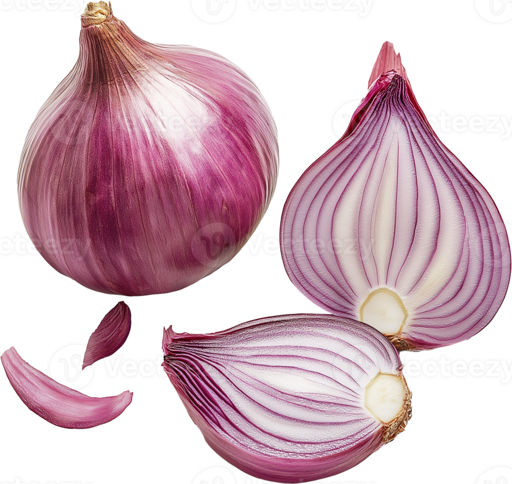 Shallot vegetable isolated, Allium ascalonicum Clipart - Shallot half and slices illustration png