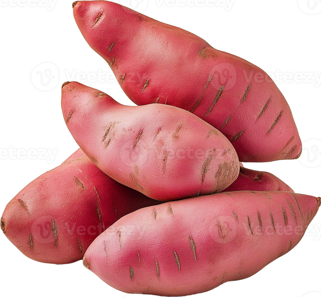 Sweet potato vegetable isolated, Ipomoea batatas Clipart - pile of red Sweet Potatoes illustration png