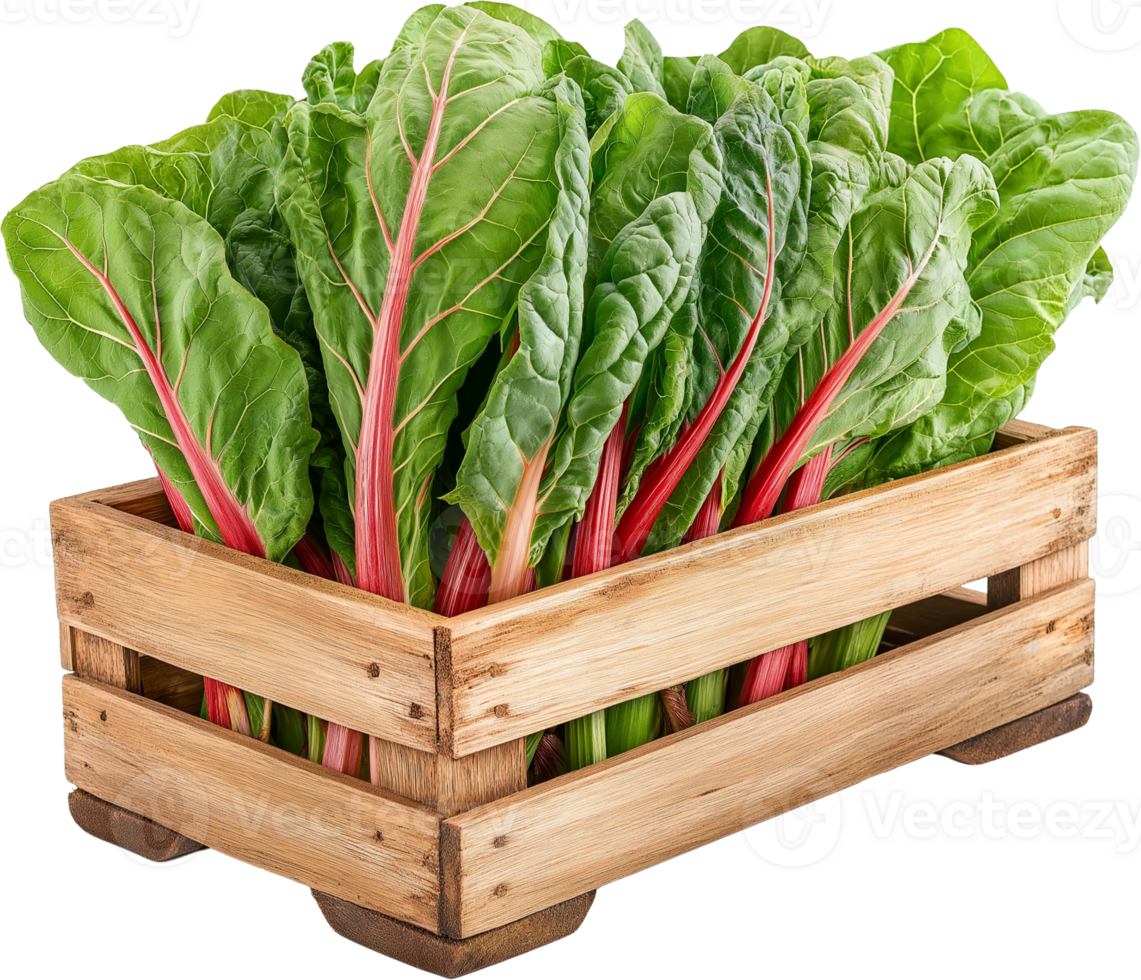 Chard vegetable isolated, Leafy Green Vegetables Clipart - Swiss Chard leaves in crates illustration png