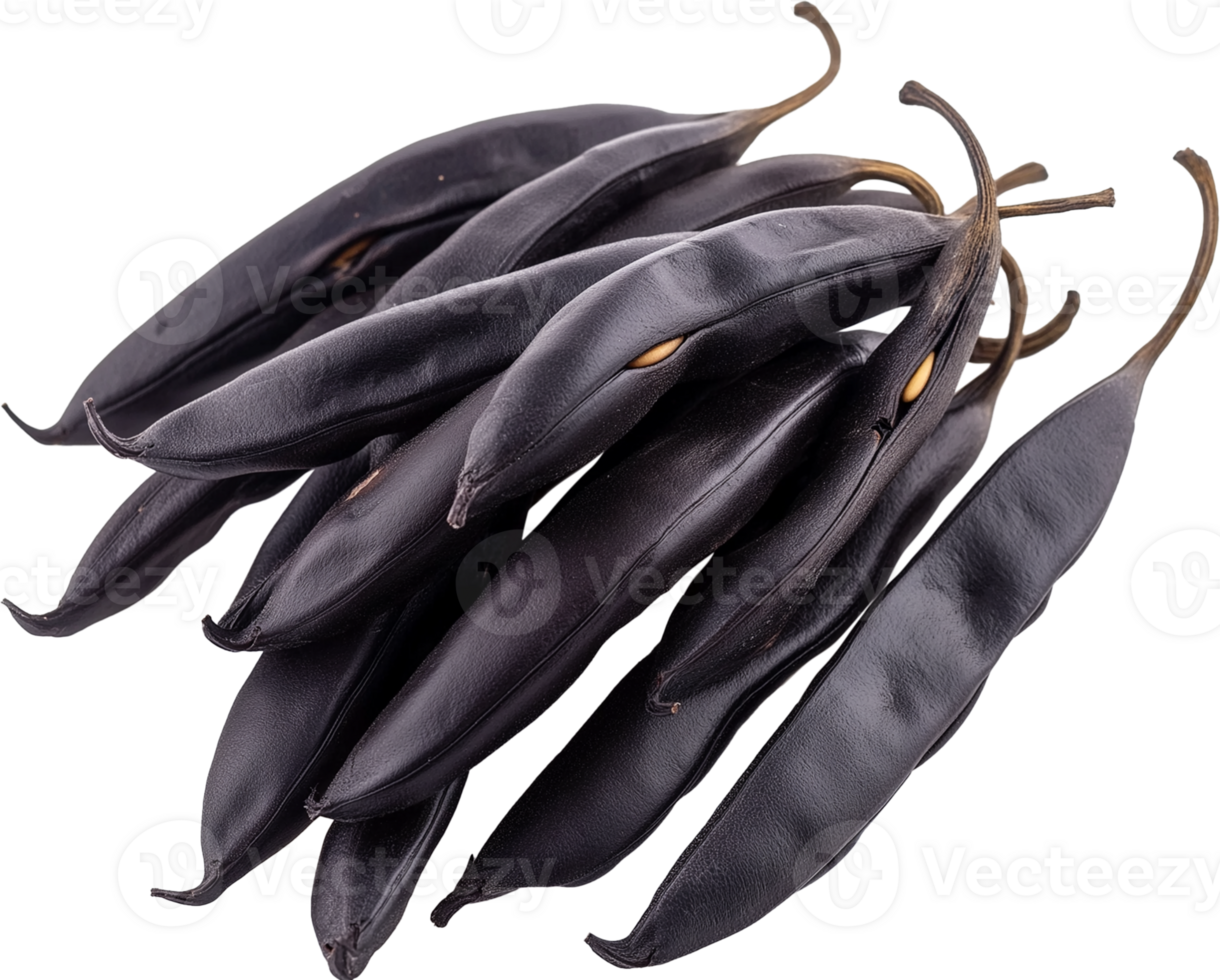 Velvet bean vegetable isolated, Tropical Legume Clipart - bunch of dry Velvet Bean illustration png