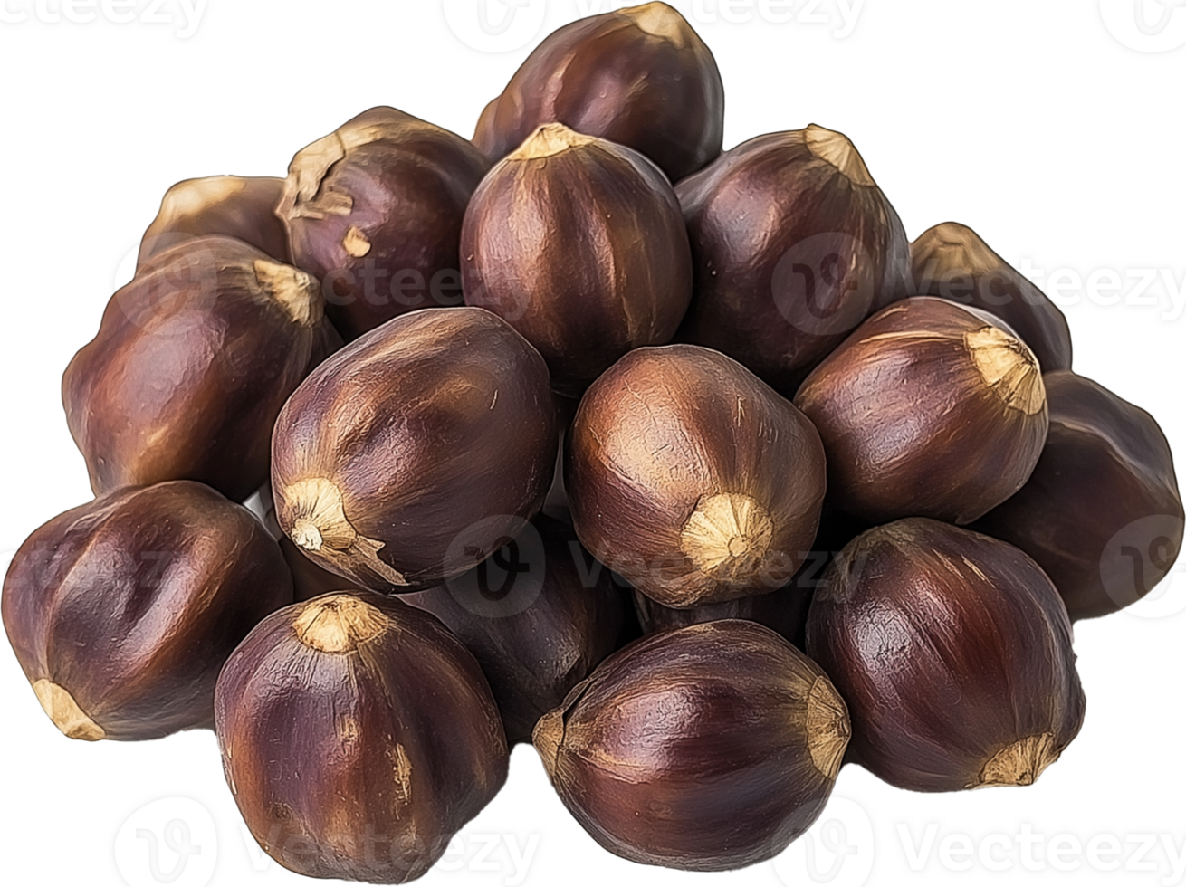 Chinese Water chestnut Vegetable isolated, Eleocharis dulcis Clipart - pile of fresh water chestnuts illustration png