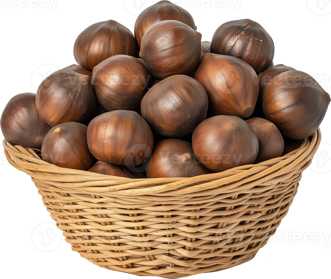 Chinese Water chestnut Vegetable isolated, Eleocharis dulcis Clipart - fresh water chestnuts in basket illustration png