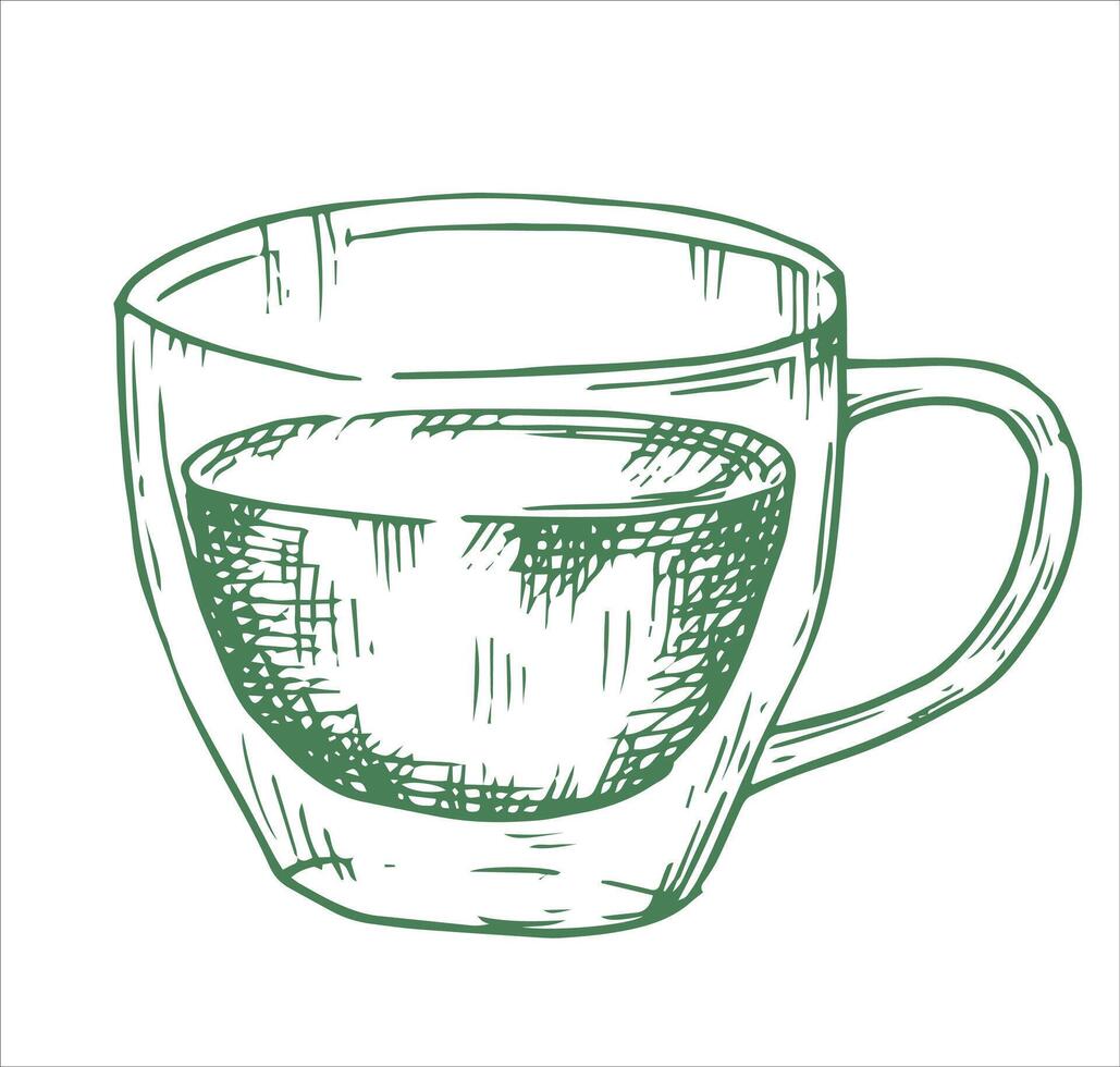 cup of green tea. illustration in sketch style vector