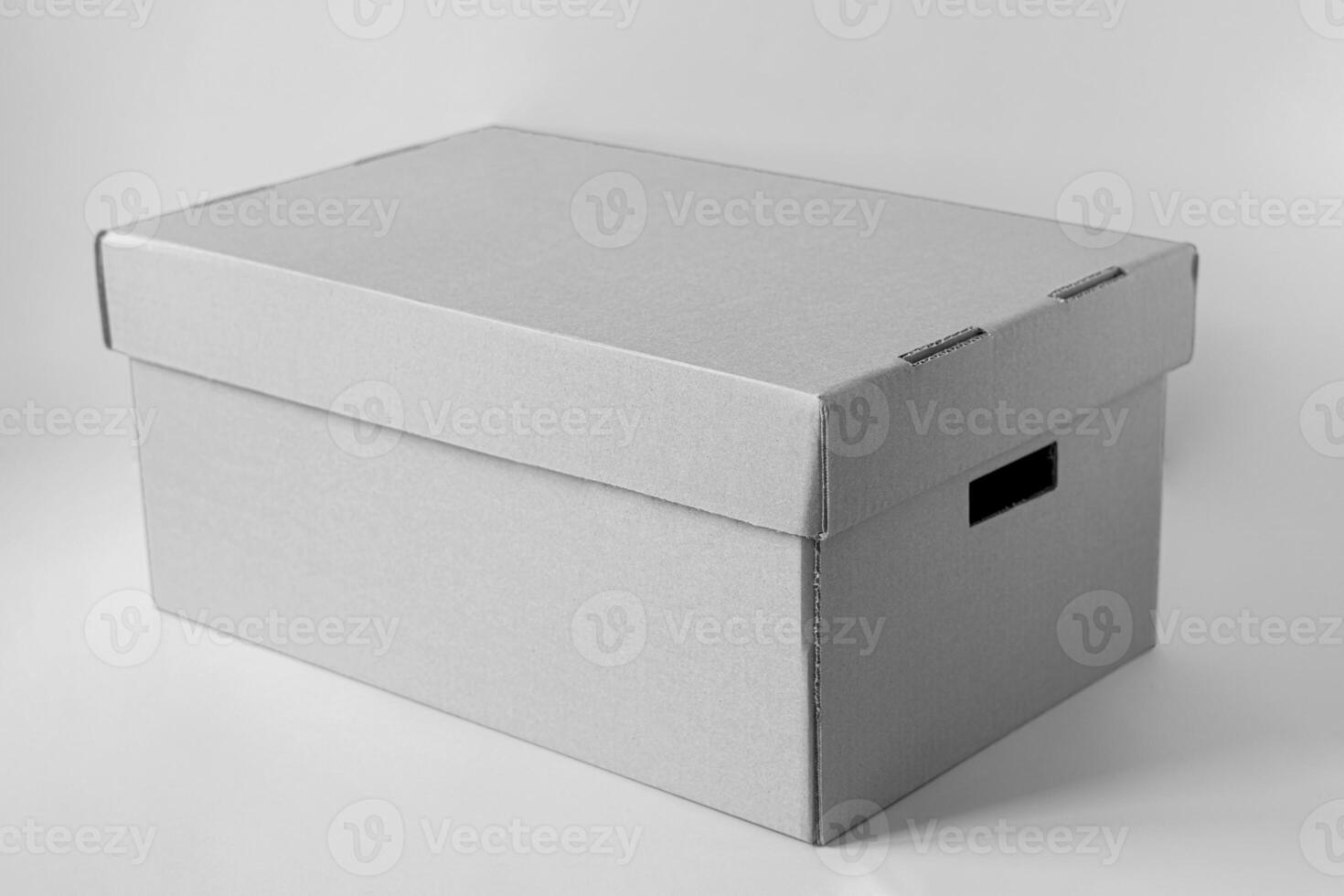 Blank White Cardboard Package Box Mocku Blank Image Box Mockup Blank Mockup photo