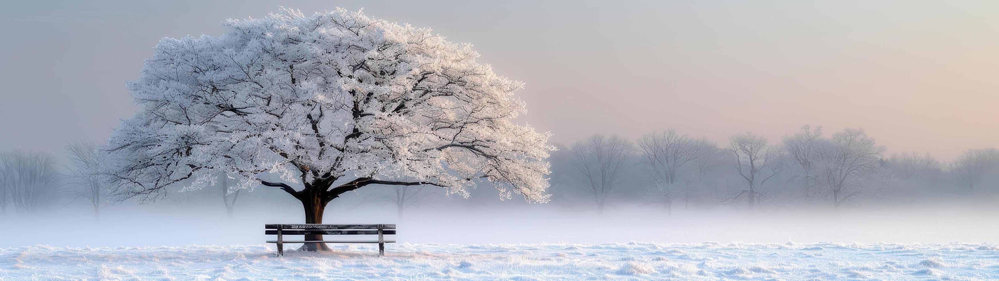 A snow-laden tree stands solitary in a serene winter landscape, with an empty bench beneath it and a pastel-colored misty sky above photo