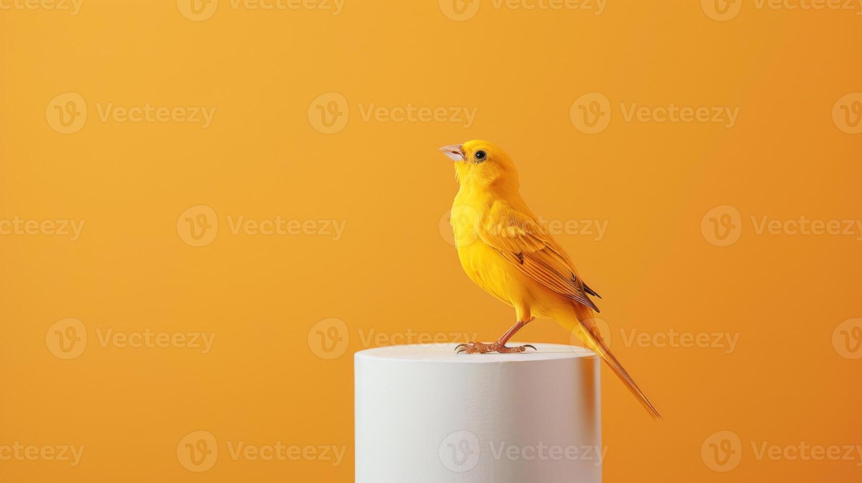 A brightly colored yellow bird stands confidently on a sleek white perch, set against a striking orange backdrop, creating a lively atmosphere photo