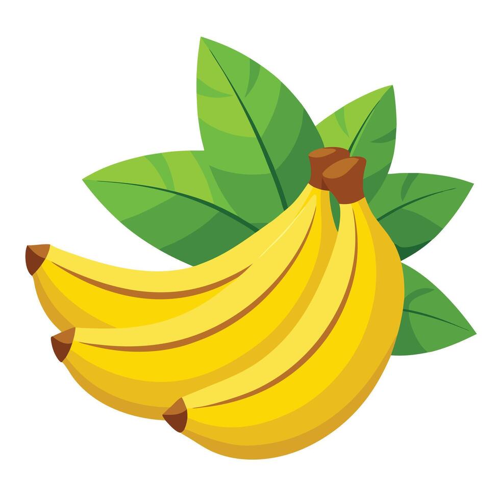 Bananas with leaves on a white background vector