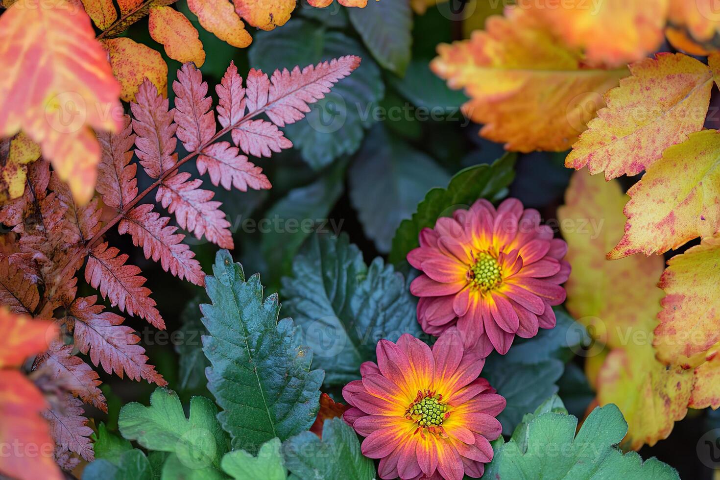 Colorful flower and foliage combination showcasing autumn hues in a garden setting photo