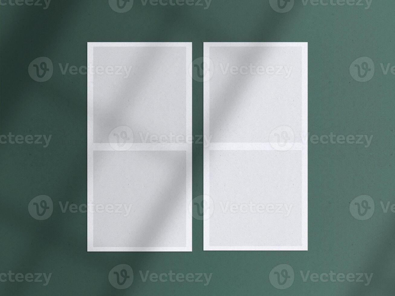 Realistic 3D blank photo frames, film, texture, ornament, torn paper glued textures and tape moodboard mockup. Grunge texture background with leaves and windows shadow overlay illustration