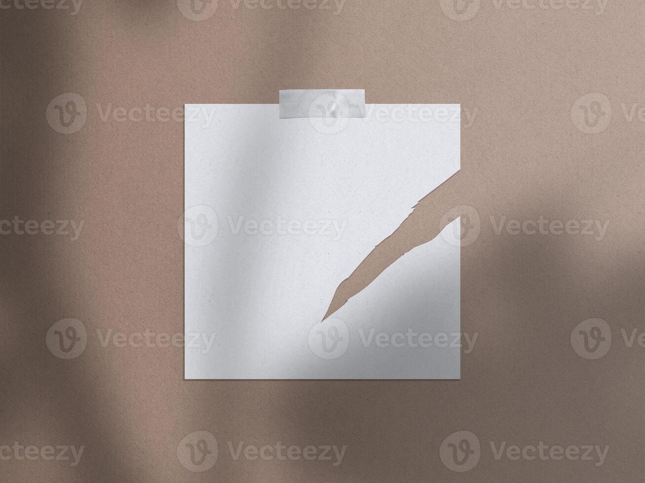 Realistic 3D blank photo frames, film, texture, ornament, torn paper glued textures and tape moodboard mockup. Grunge texture background with leaves and windows shadow overlay illustration