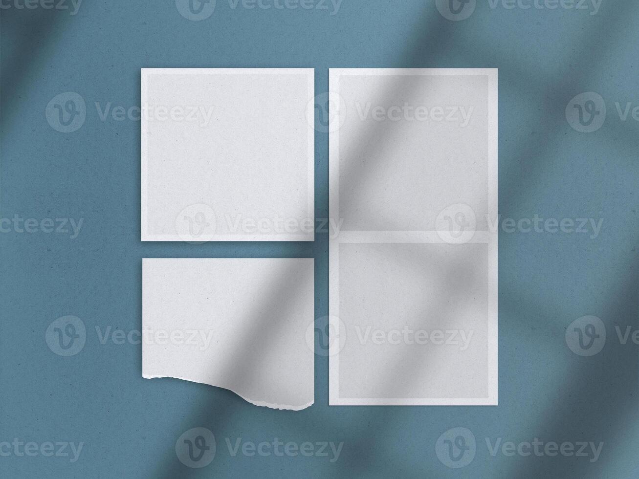 Realistic 3D blank photo frames, film, texture, ornament, torn paper glued textures and tape moodboard mockup. Grunge texture background with leaves and windows shadow overlay illustration