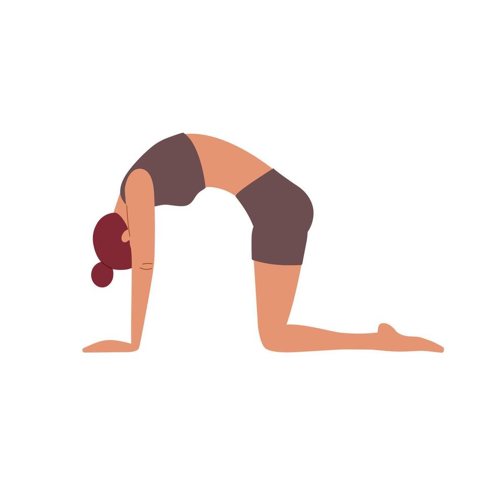 Woman practicing the cat pose in a yoga studio during a morning session for relaxation vector