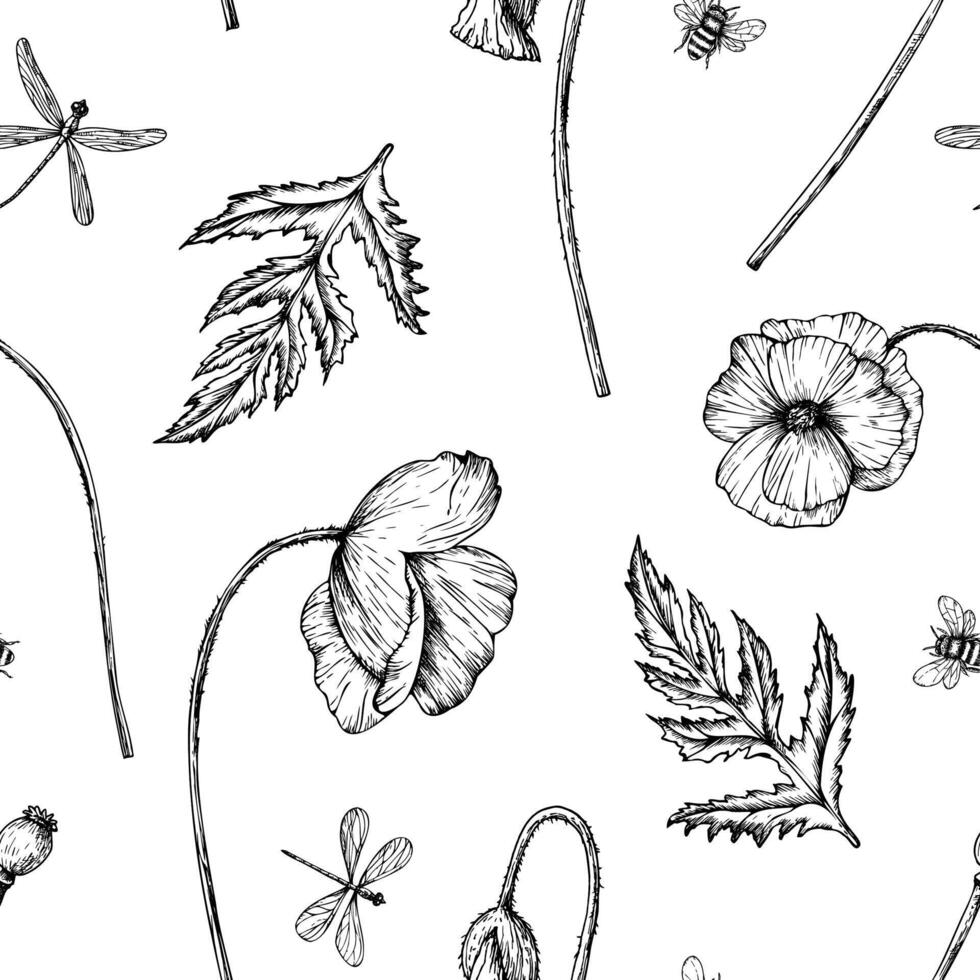 seamless pattern with poppies. Hand painted linear papaver flowers. Graphic daisy isolated on background. Botanical and wedding illustration. For designers, invitations, decoration, postcards vector
