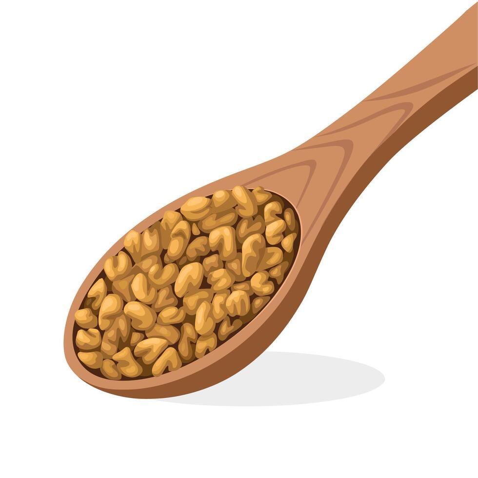 Illustration of fenugreek seeds on a wooden spoon, isolated on white background. vector